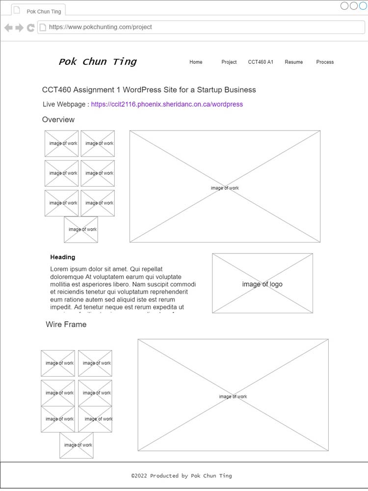 CCT460 A2 CCT460 A1 Page wireframe